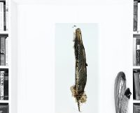 study for flight i