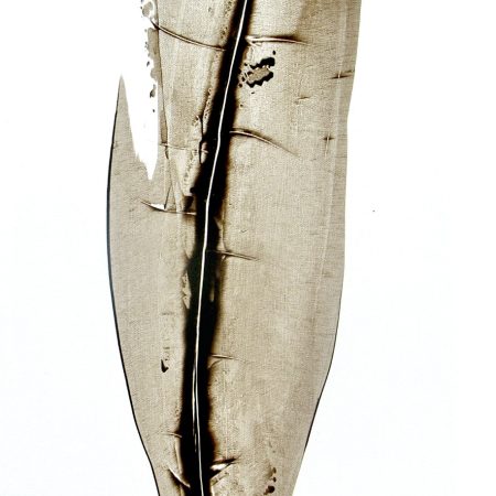 STUDY FOR FLIGHT III