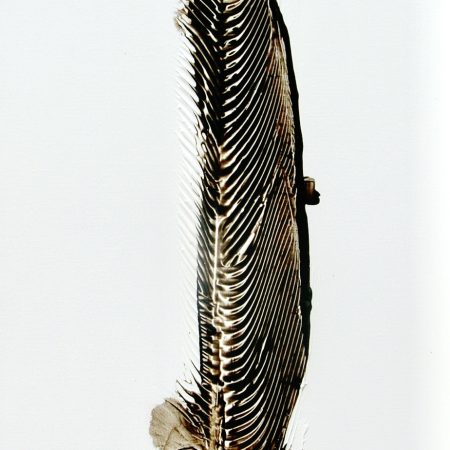 STUDY FOR FLIGHT I